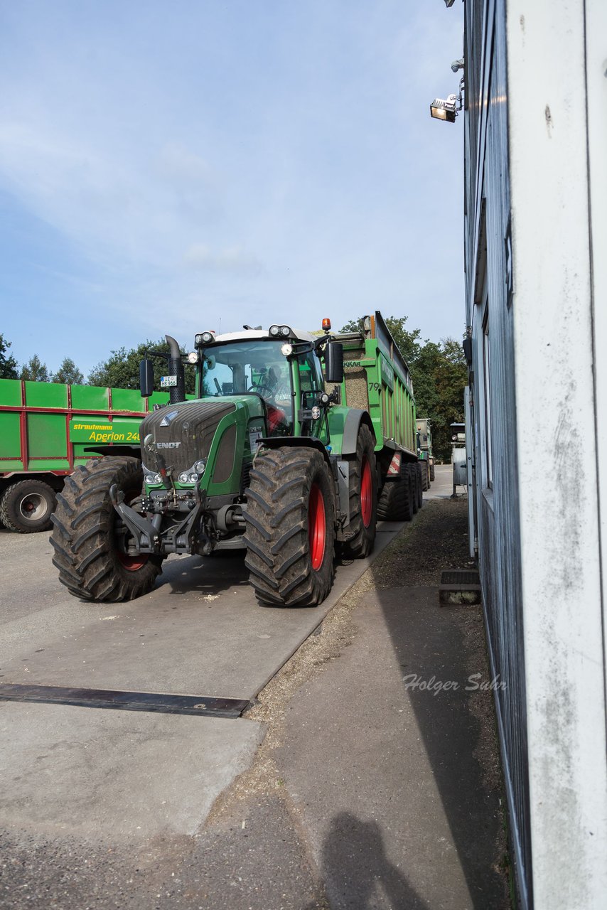Bild 32 - Maisernte